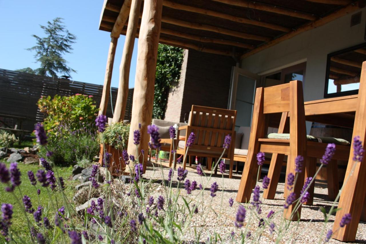 Maison Bellefleur B&B - Pension Renesse Exteriör bild